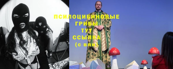 гидра Армянск
