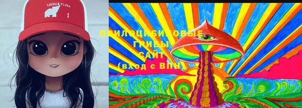 крисы Аркадак