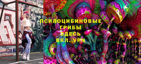крисы Аркадак