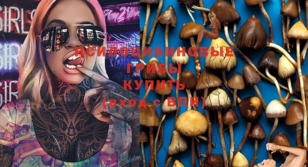 крисы Аркадак
