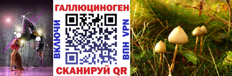 Псилоцибиновые грибы мицелий  Арзамас 