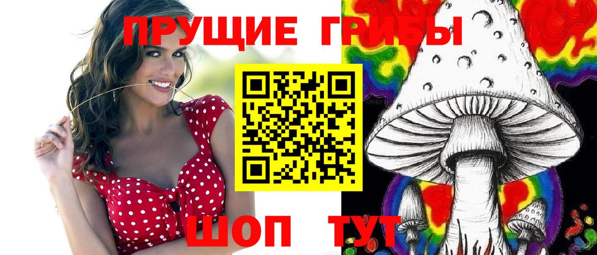 Галлюциногенные грибы Psilocybine cubensis Арзамас